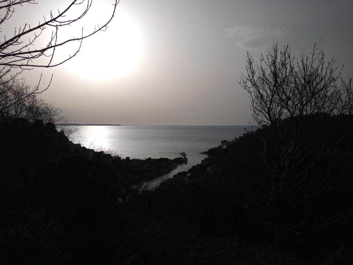 Ferienwohnung West Looe Downs Exterior foto
